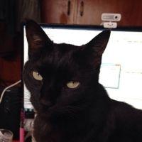 kuumaman 会員画像