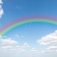 よもぎねこ 会員画像