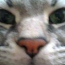 ユーザ画像