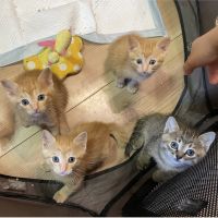 会員画像