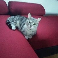 サーリ 会員画像