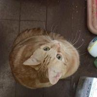 会員画像