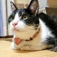 会員画像