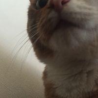 会員画像