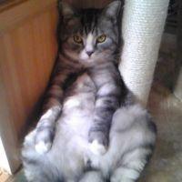 いそ 会員画像