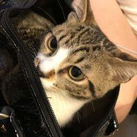 会員画像