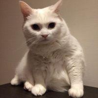 会員画像