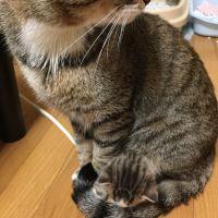 hiro. 会員画像