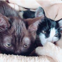 ちぃかむ 会員画像