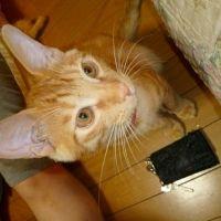 ヒトミ 会員画像