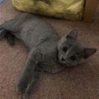 ソラチャンパパさん