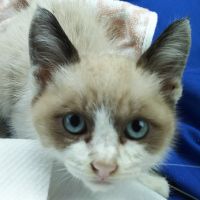 みつきんぐ 会員画像