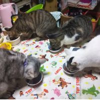 会員画像