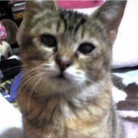 Eru02 会員画像
