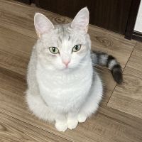 こうめ。 会員画像