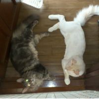 会員画像
