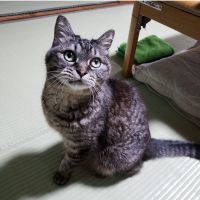 べんてん。 会員画像