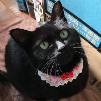 さらくぅ 会員画像