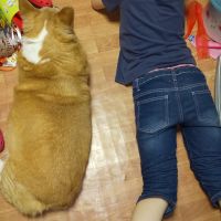 べりっち 会員画像
