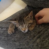 ちばぽんずさん