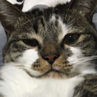 会員画像