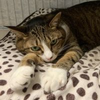 まちくろ 会員画像