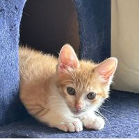 ちるぴー3862さん