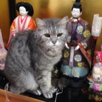 会員画像