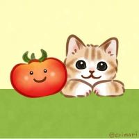 かかにゃん 会員画像