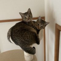 会員画像