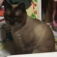 レオくんです 会員画像