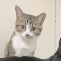 あくあj 会員画像