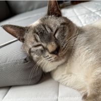 ヤスヒサ 会員画像