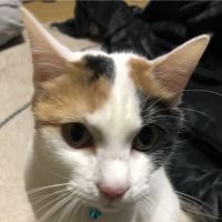 うぱ0w0 会員画像