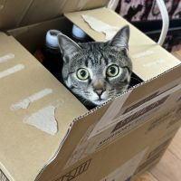 こひなた 会員画像