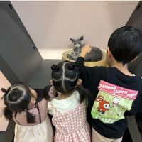 とぅるーす 会員画像