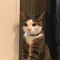 ちゃねる 会員画像