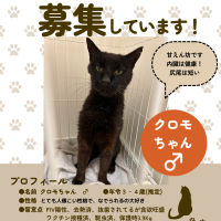 Fuyuhikos 会員画像