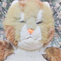 ヒロタロー 会員画像