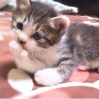 むー6104 会員画像