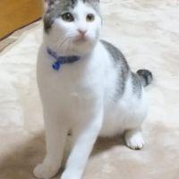 会員画像