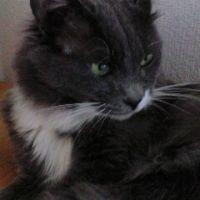 エンジェルママ 会員画像