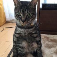 ten&moko 会員画像