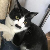 ぽんすけざえもんさん