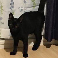 Hitomi. 会員画像