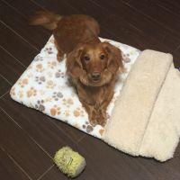 たらいもタイム 会員画像