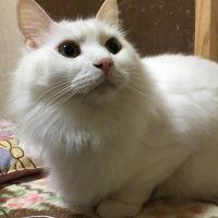 ひなる 会員画像