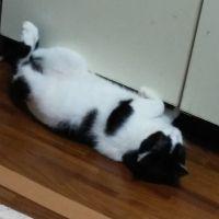 ワクトモ 会員画像
