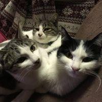会員画像