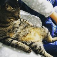 ユウレイ 会員画像